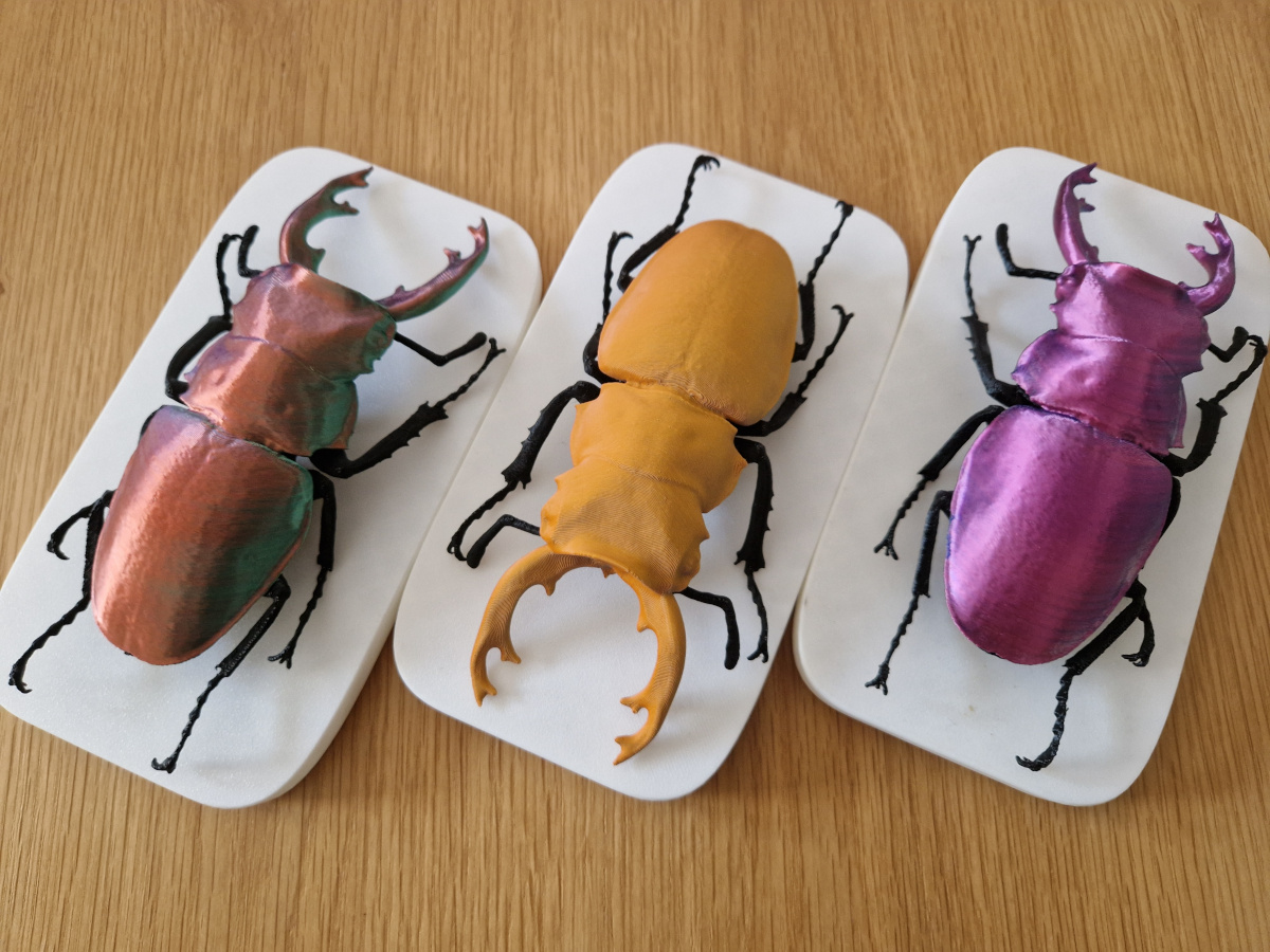 3D printed stag beetles